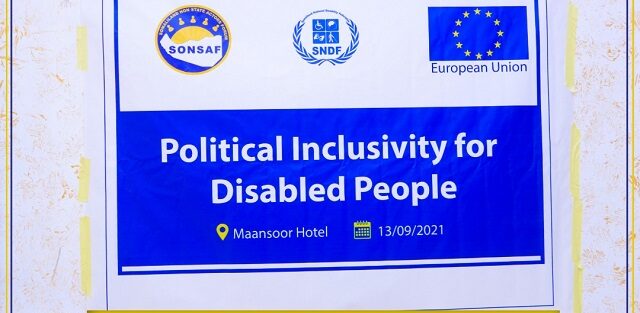 political inclusivity of disabled people